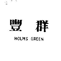 豐群 HOLMS GREEN