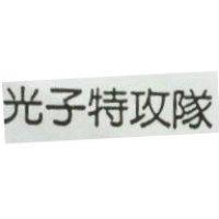 光子特攻隊