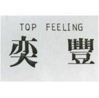 奕豐 TOP FEELING