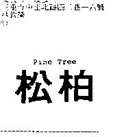 松柏 Pine Tree