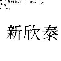 新欣泰
