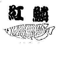 紅鱗及圖