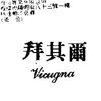 拜其爾 Vicugna