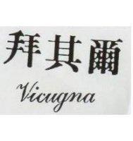 拜其爾 Vicugna