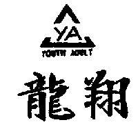龍翔及圖 YA YOUTH ADULT
