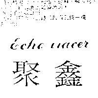聚鑫 Echo tracer