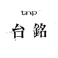 台銘 tnp