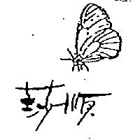 莎順及圖