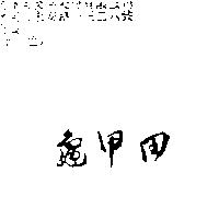 龜甲田