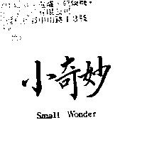 小奇妙 Small Wonder