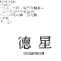 德星 TECHEUNION
