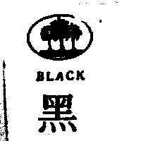 黑及圖 BLACK