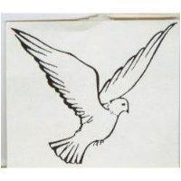 飛鴿展翅設計圖