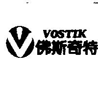 佛斯奇特及圖 VOSTIK