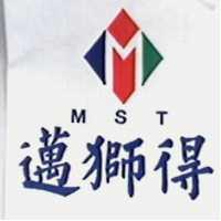 邁獅得及圖 MST