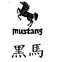 黑馬及圖 Mustang