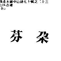 芬朵