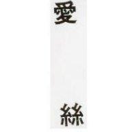 愛絲 ESSTURE in Chinese Characters