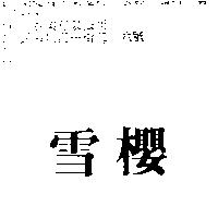 雪櫻
