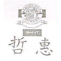 哲惠及圖 SALTY DOG RUGGER GANT