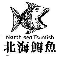 北海鱒魚及圖 northsea tsunfish