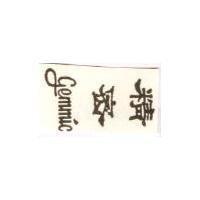 精密 GEMMIC