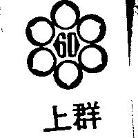上群及圖