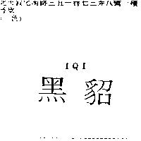 黑貂 IQI