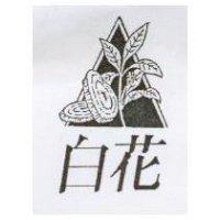 白花及圖