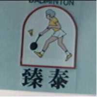 臻泰及圖 BADMINTON