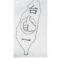 台一及圖