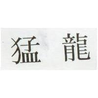 猛龍