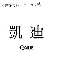 凱迪 CADI
