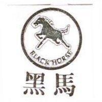 黑馬及圖 BLACK HORSE