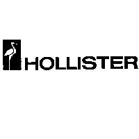 HOLLISTER and design