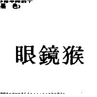 眼鏡猴