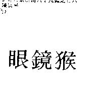 眼鏡猴