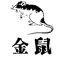 金鼠及圖