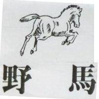 野馬及圖 WILD HORSE
