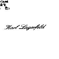 KARL LAGERFELD