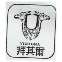 拜其爾及圖 Vicugna