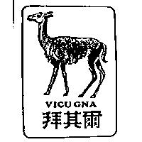 拜其爾及圖 VicuGna
