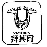 拜其爾及圖 Vicugna