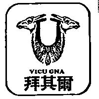拜其爾及圖 Vicugna