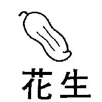 花生及圖