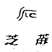 芝蔴及圖