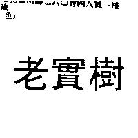 老實樹