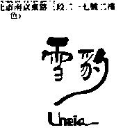 雪豹 Uneia