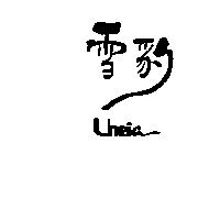雪豹 Uneia