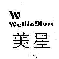 美星及圖WELLINGTON